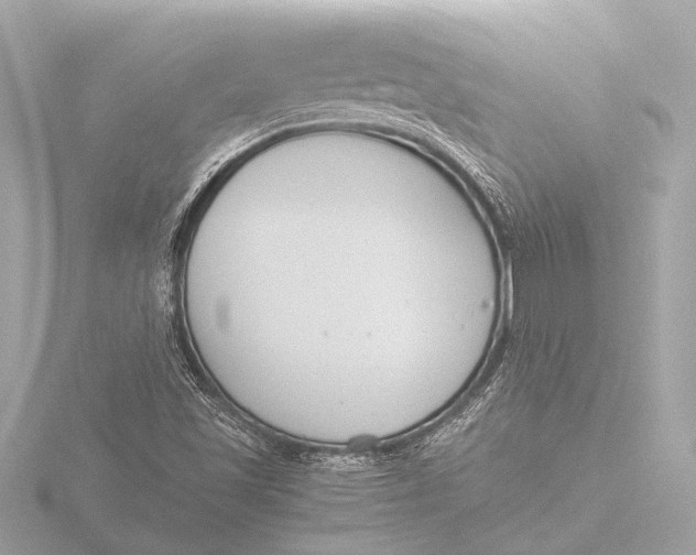 X0000116391501200912231059