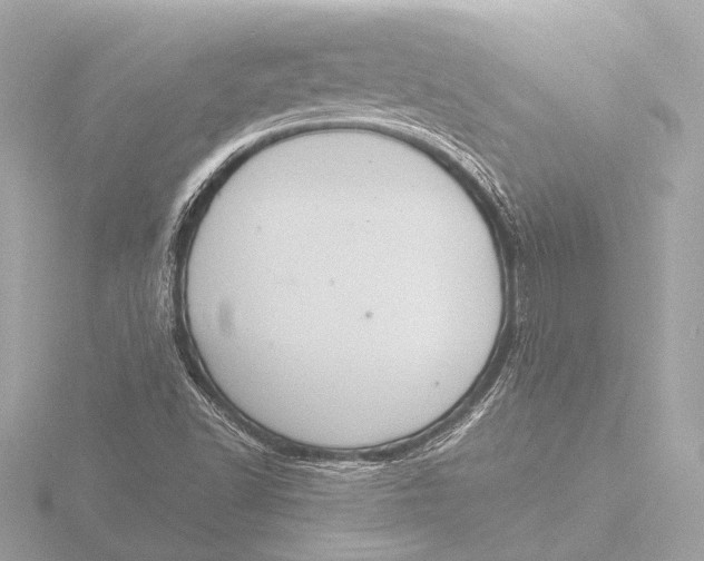 X0000116391502200912231059