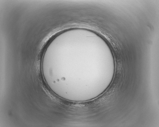 X0000116391503200912231059