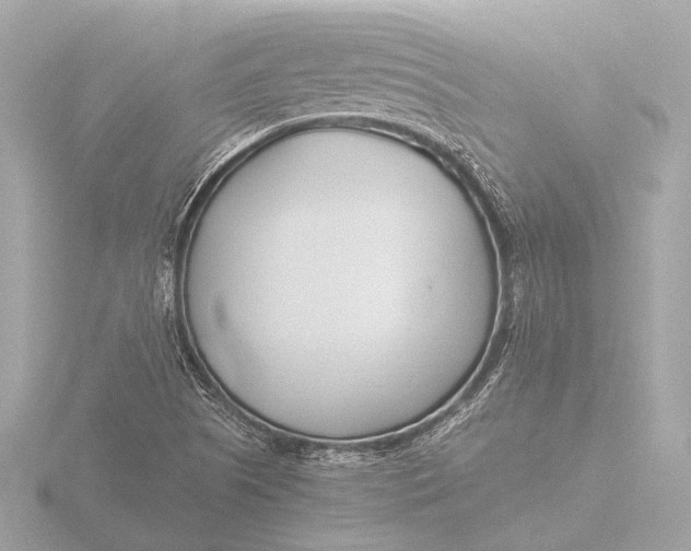 X0000116391505200912231059