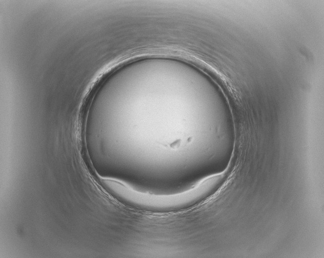 X0000116391506200912231059