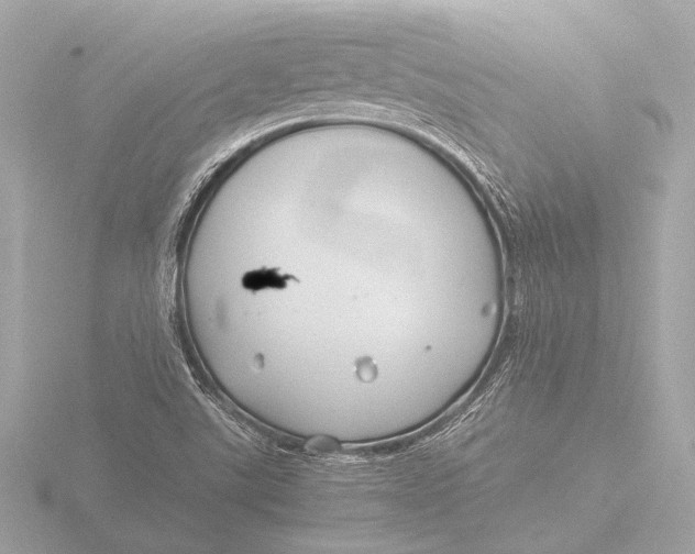 X0000116391507200912231059