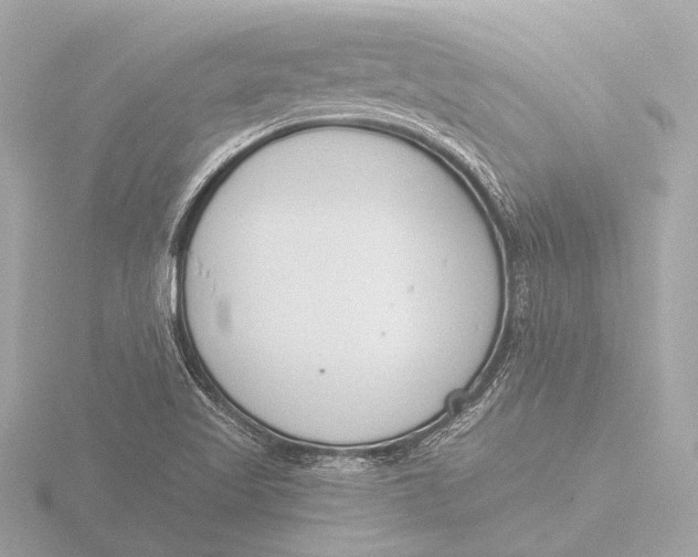 X0000116391509200912231059