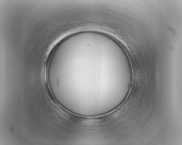 X0000116391510200912231059