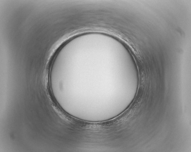 X0000116391511200912231059