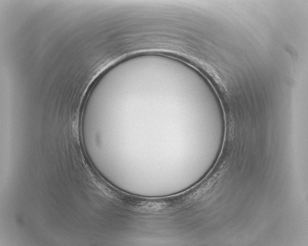 X0000116391513200912231059