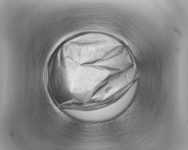 X0000116391515200912231059