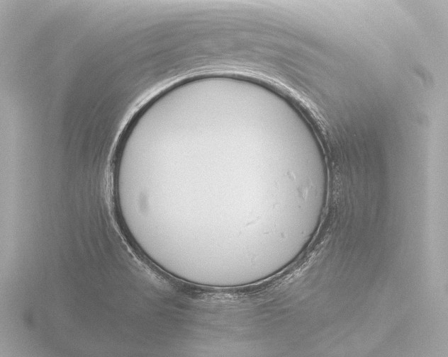 X0000116391517200912231059