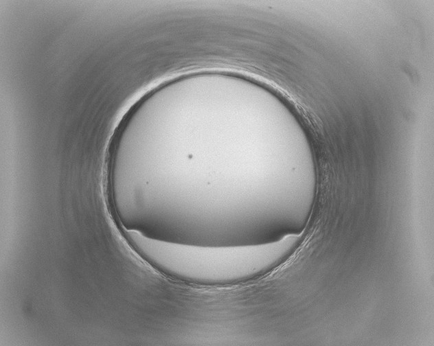 X0000116391518200912231059