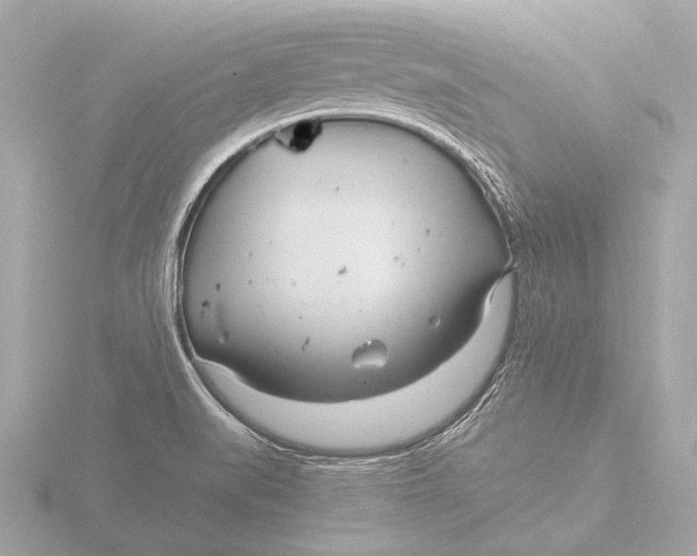 X0000116391519200912231059