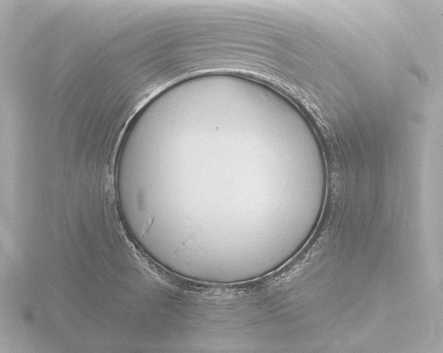 X0000116391521200912231059