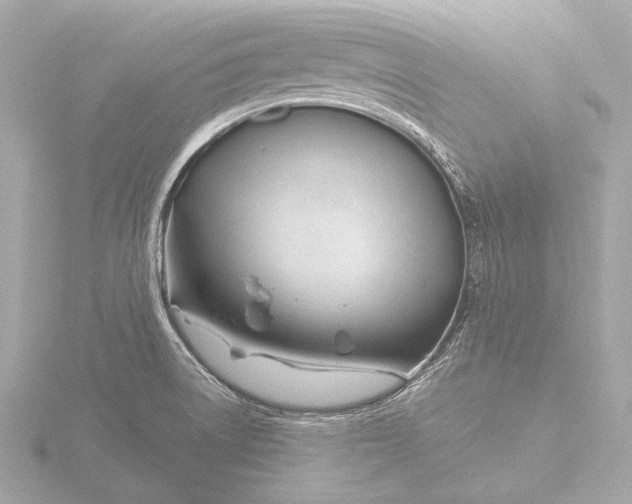 X0000116391522200912231059