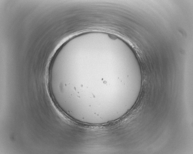 X0000116391523200912231059