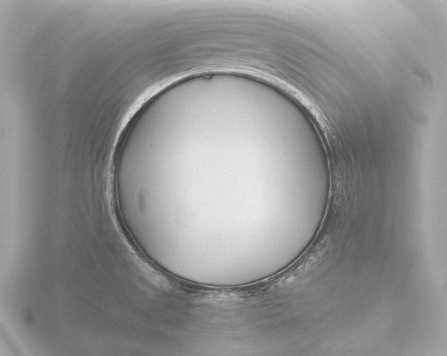 X0000116391525200912231059