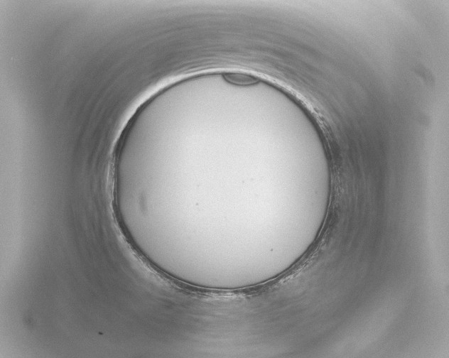 X0000116391526200912231059