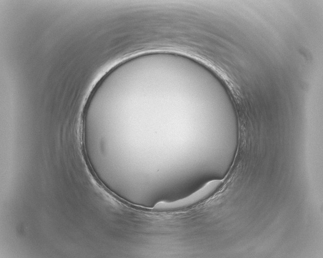 X0000116391527200912231059