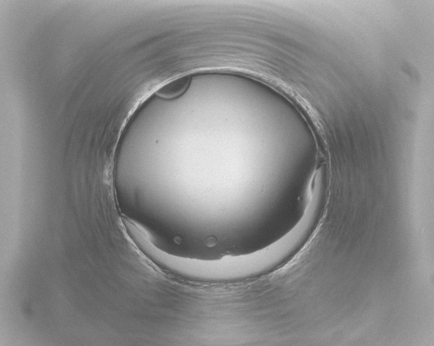 X0000116391529200912231059