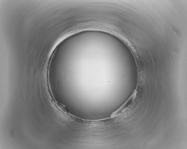 X0000116391530200912231059