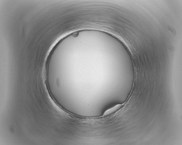 X0000116391531200912231059