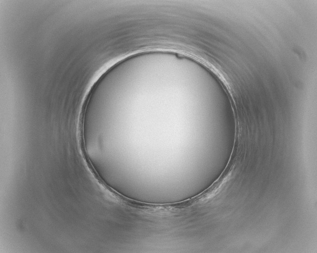 X0000116391533200912231059