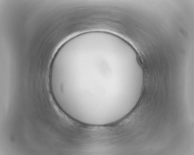 X0000116391534200912231059