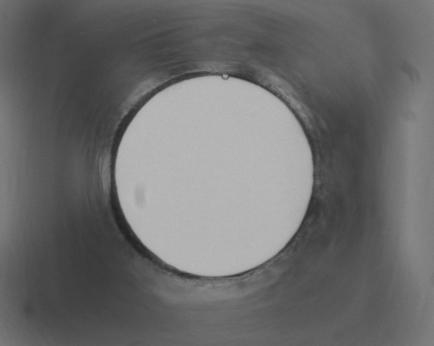 X0000116390011200912291759