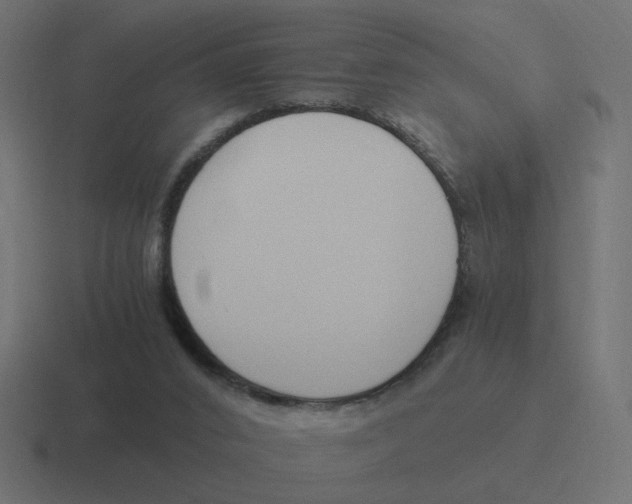 X0000116390016200912291759