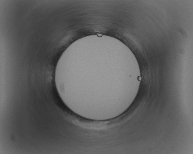 X0000116390032200912291759