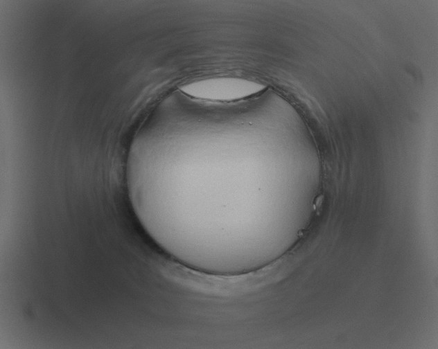 X0000116390035200912291759
