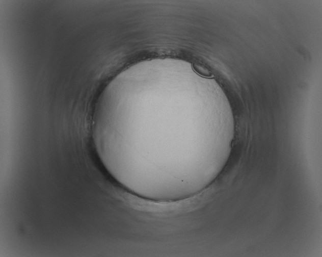 X0000116390039200912291758