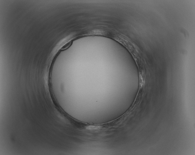 X0000116390051200912291758