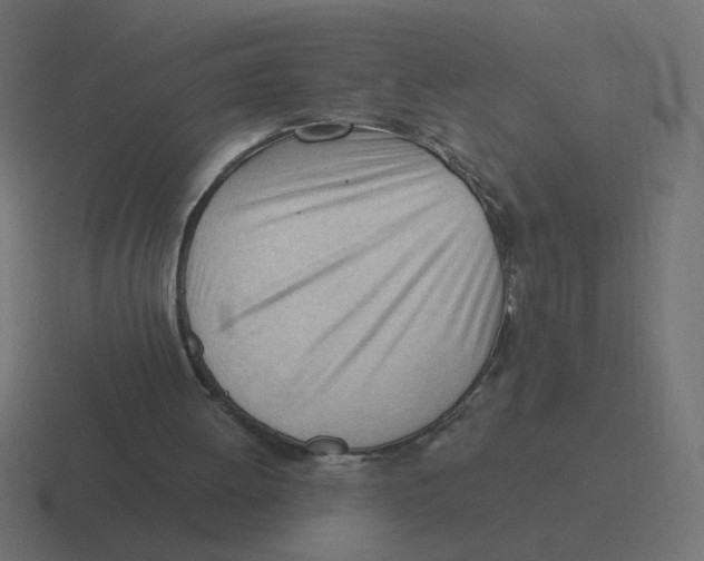 X0000116390052200912291758