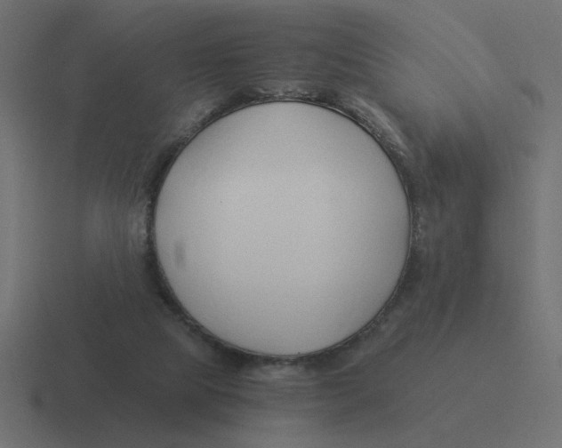 X0000116390065200912291758