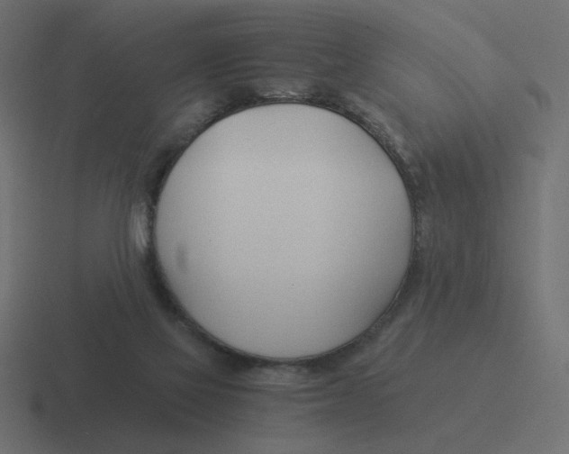 X0000116390069200912291758