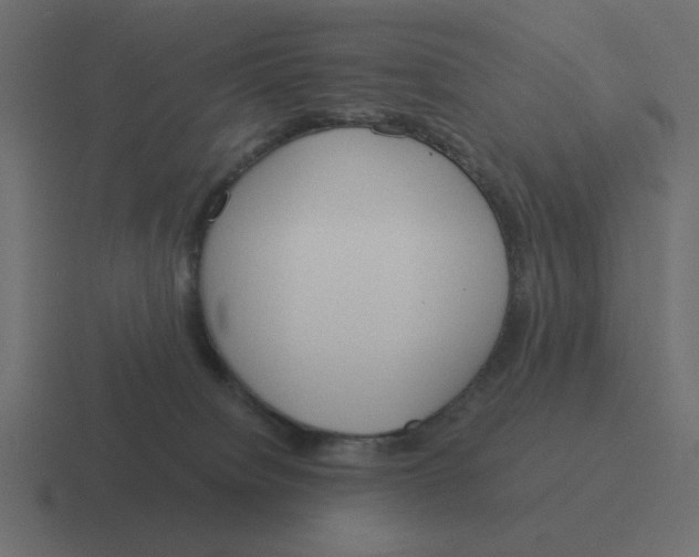 X0000116390084200912291758