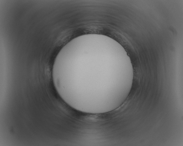 X0000116390086200912291758