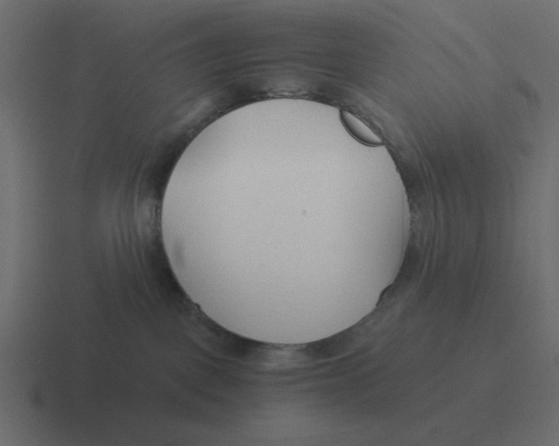 X0000116390093200912291758
