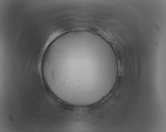 X0000116390099200912291758