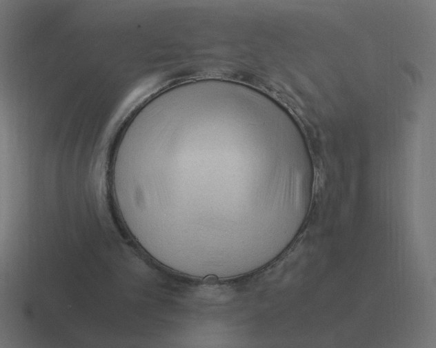 X0000116390101200912291758