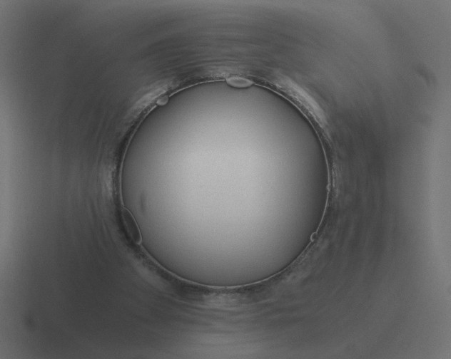 X0000116390105200912291758