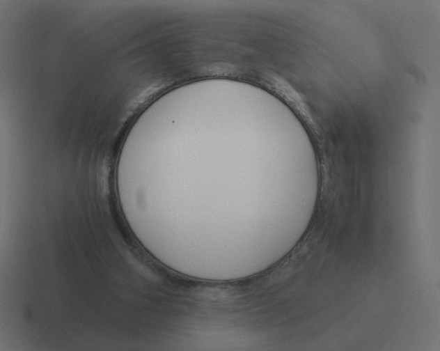 X0000116390106200912291758