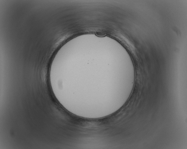 X0000116390107200912291758
