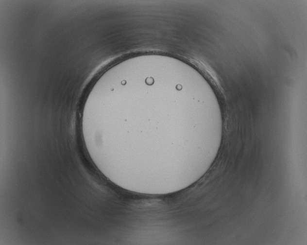 X0000116390108200912291758