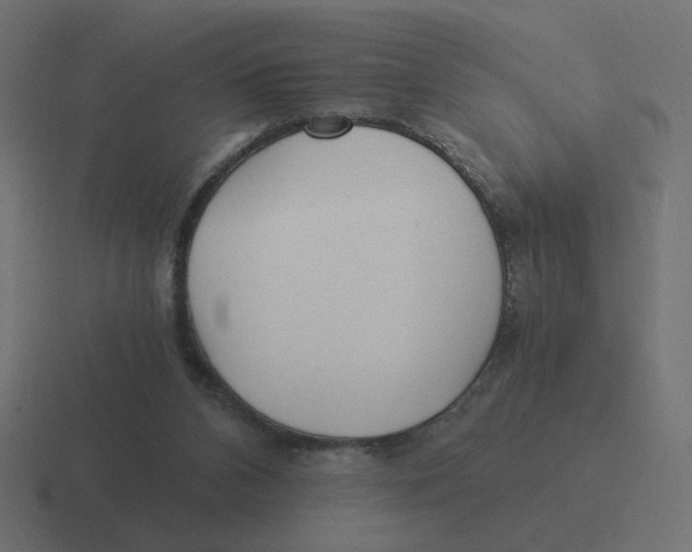 X0000116390112200912291758
