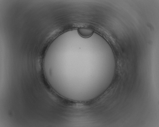 X0000116390114200912291758