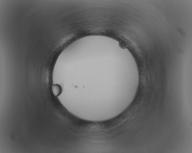 X0000116390115200912291758