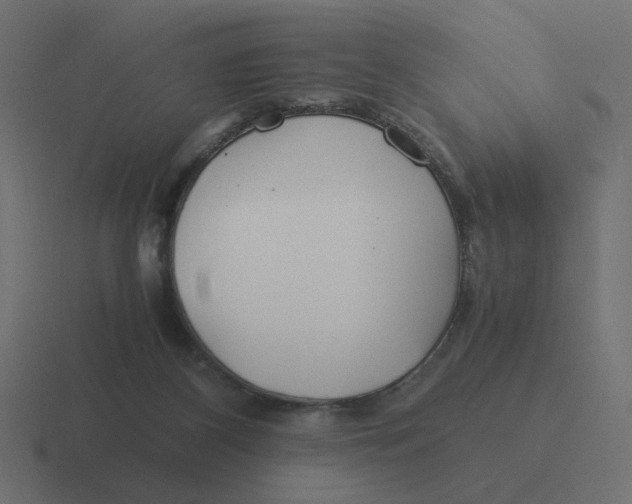 X0000116390116200912291758