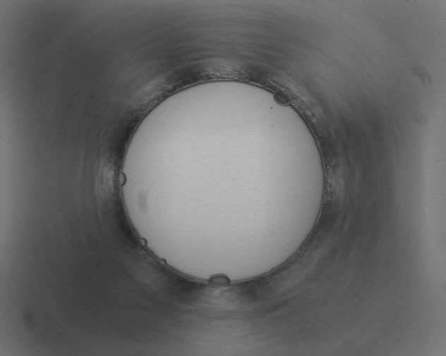 X0000116390117200912291758
