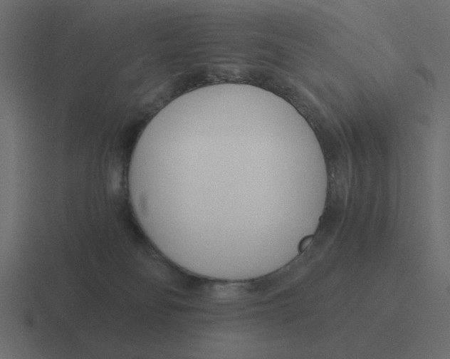 X0000116390134200912291757