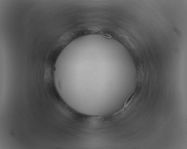 X0000116390136200912291757